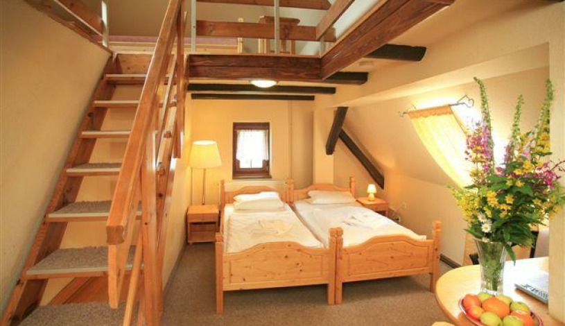 Hotel Zelený dům Boží Dar - Apartmán, Dvoulůžkový pokoj - OP